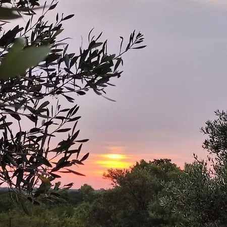 Dimora Tra Gli Ulivi *